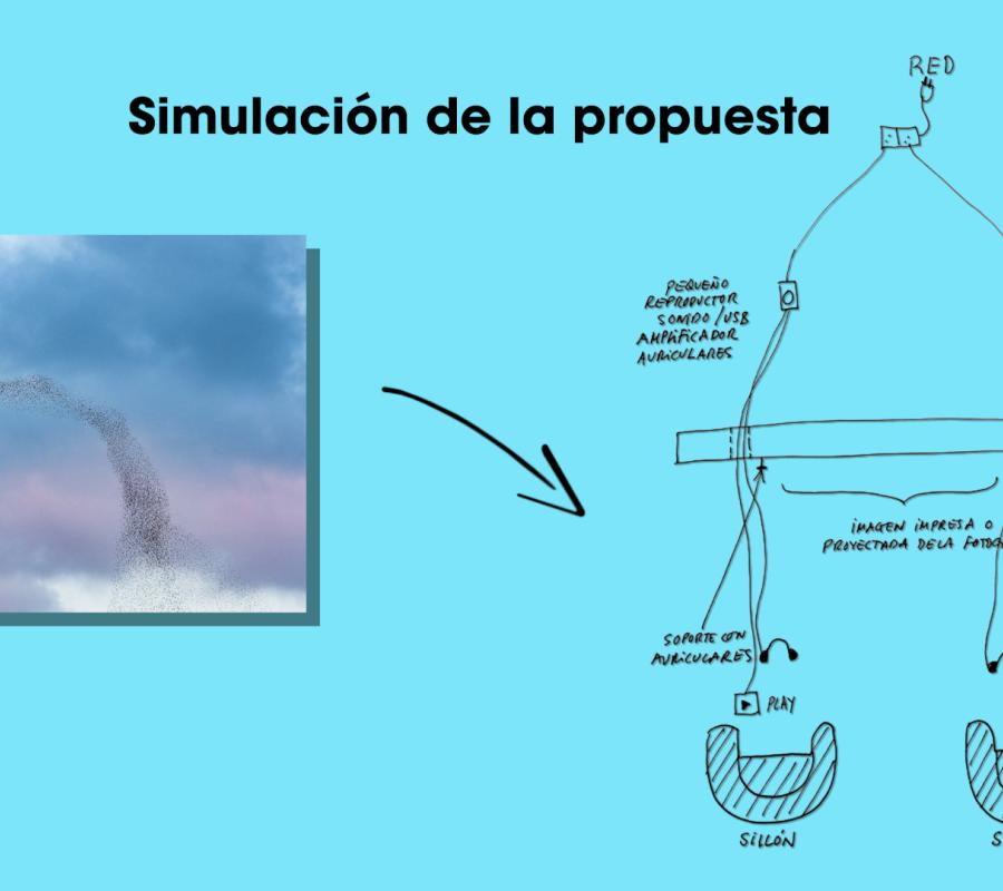 ¡¡Corre, corre, que te pillo, estornino, estorninillo!! / Miguel Ángel Gil Fernández