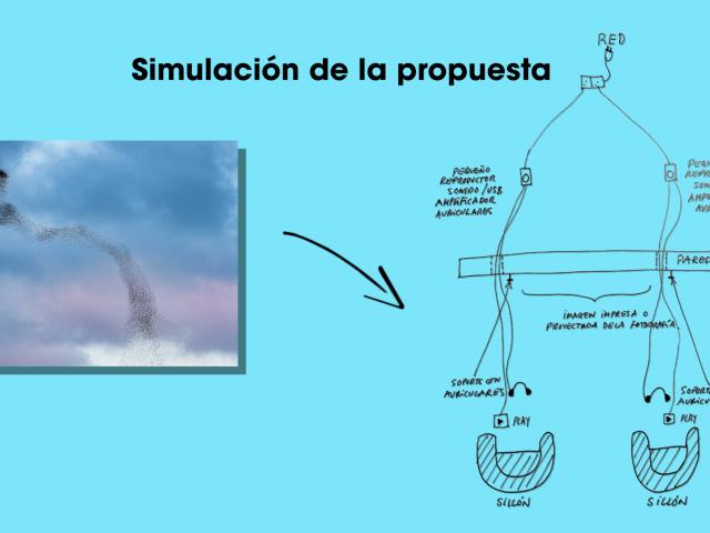¡¡Corre, corre, que te pillo, estornino, estorninillo!! / Miguel Ángel Gil Fernández