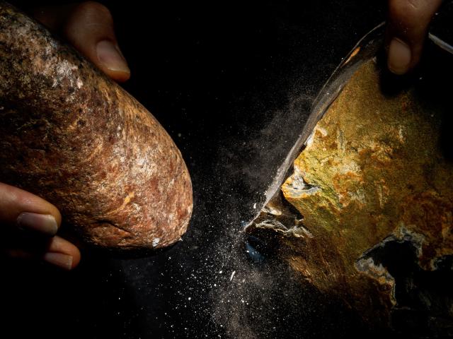 Génesis / Maria Dolors Guillén Espínola