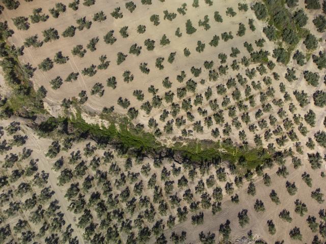 El desafío de curar las heridas del suelo / Alejandro Muñoz Fernández